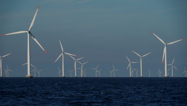 Group of 12 associations asks Lula to veto “jabutis” in the PL for offshore wind farms
