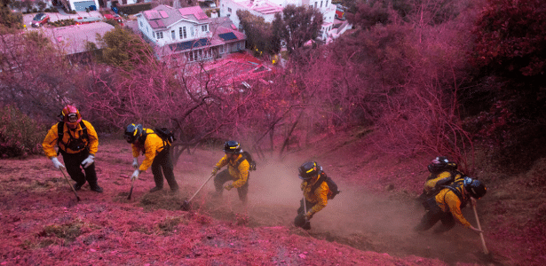 Em Los Angeles, brigadistas trabalham em bairros como Mandeville Canyon na limpeza do retardante de incêndios despejado sobre diferentes pontos da região