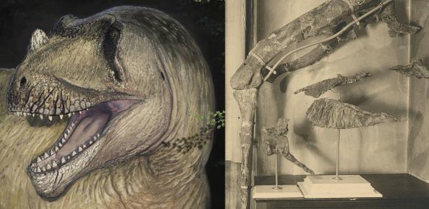 Dinossauro descoberto por paleontólogos de Munique / Fotografia do espécime montado antes de ser destruído em 1944