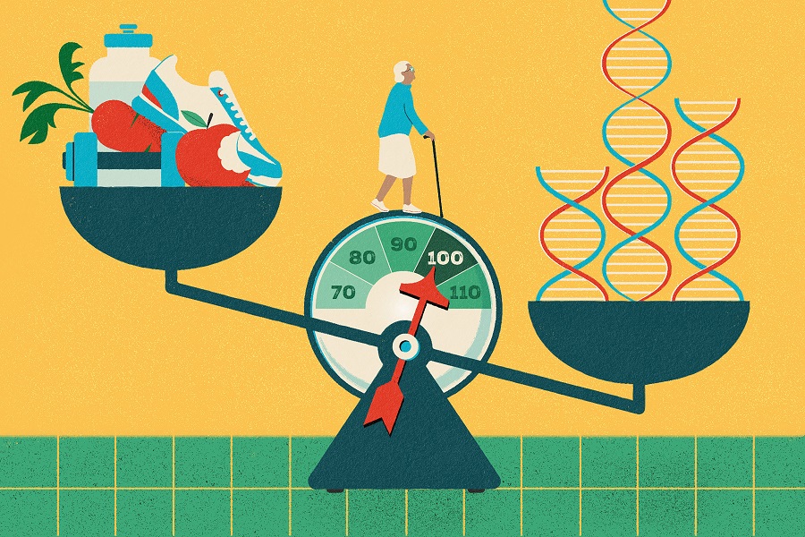 What matters more for longevity: genetics or lifestyle?