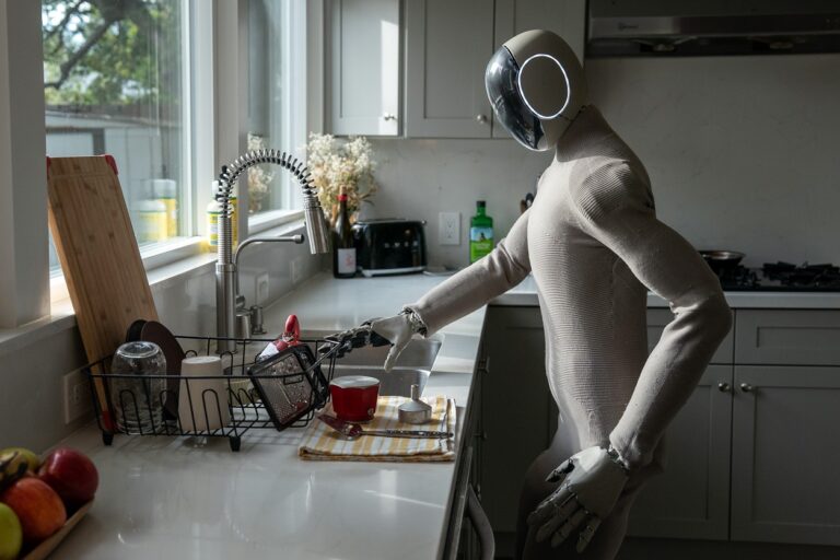 The invasion of domestic humanoid robots
