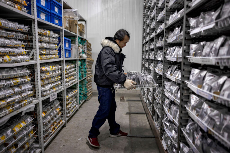 Trump fares must punish Asia; But a country sees an opportunity
