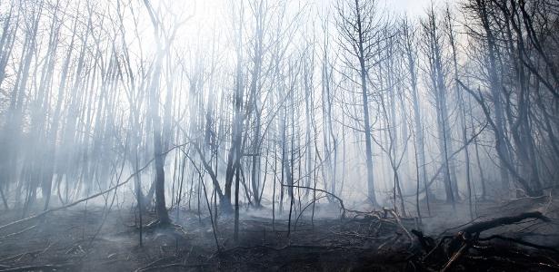 23.abr.2025 - Fumaça sobe de vegetação durante incêndio florestal em Nova Jersey