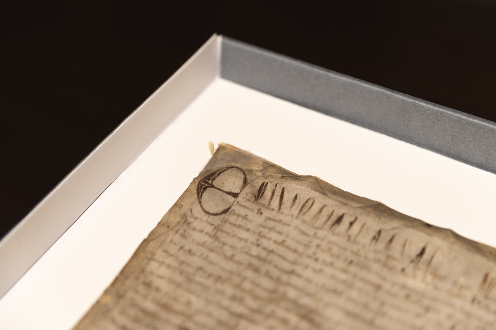 Harvard bought a copy of Magna Carta for $ 150 - and found it was original
