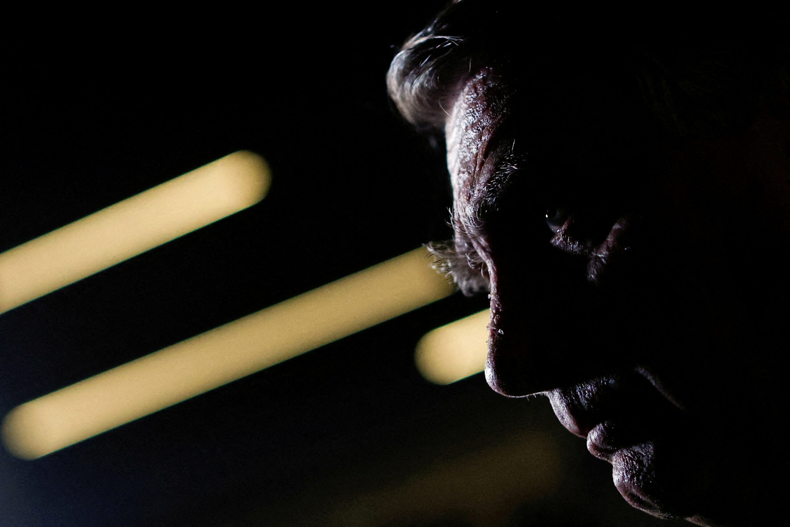 Bolsonaro says he will be discharged after hospitalization and already talks about following a pro-administration act