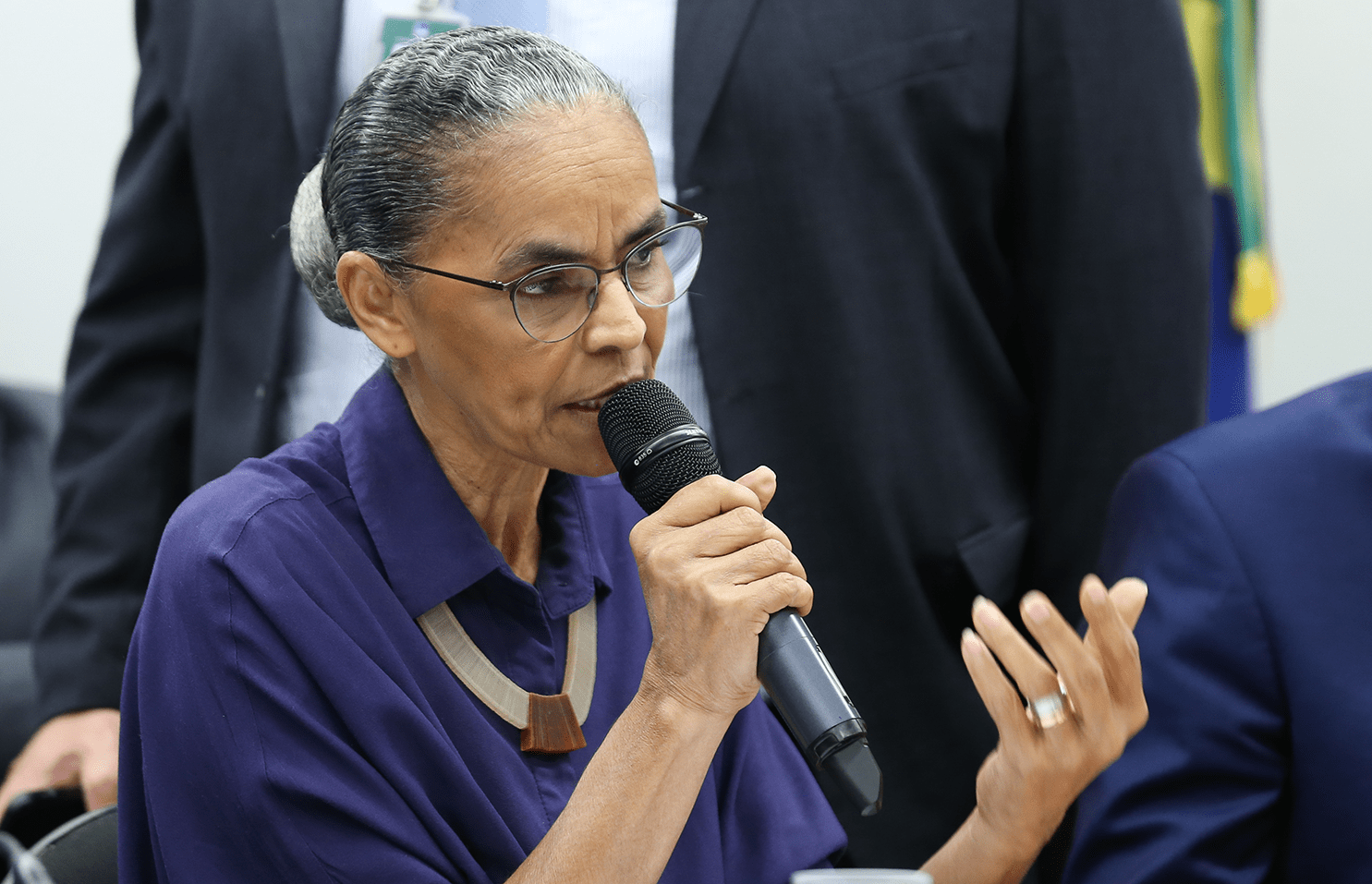 Marina Silva: We cannot allow setbacks and deadly blow to environmental legislation
