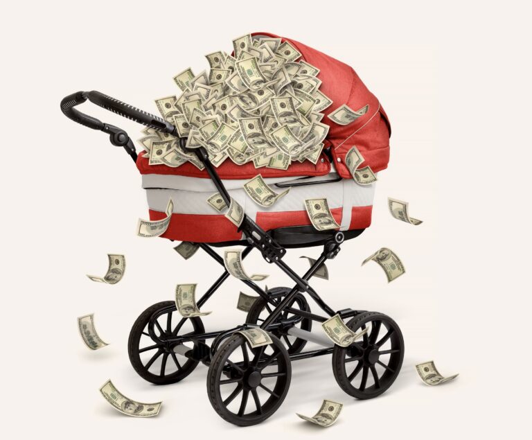 The feminist argument to spend billions and boost the birth rate
