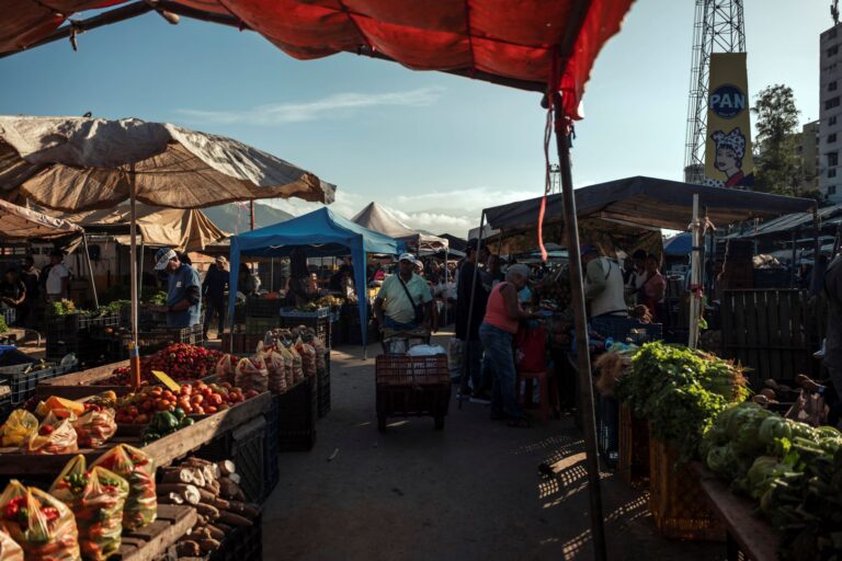 Authoritarian government of Venezuela has a new target: economists
