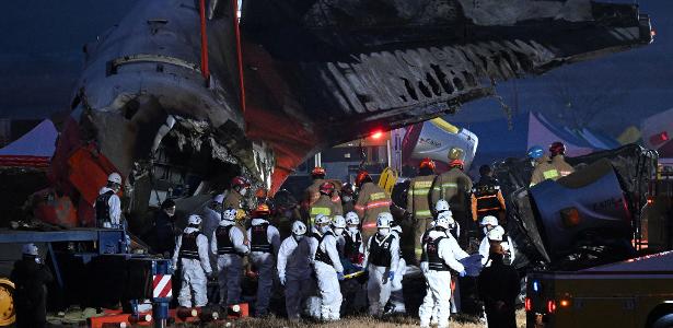 Boeing 737 colidiu contra aves e bateu num muro ao tentar pousar