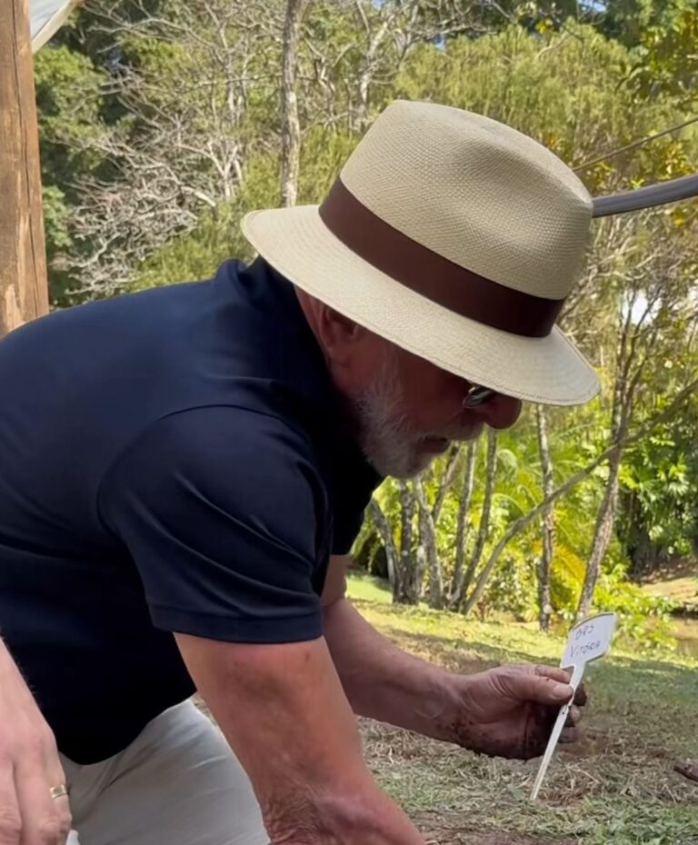 Lula plant tree at dawn invites Trump to talk: “we don't plant hatred”
