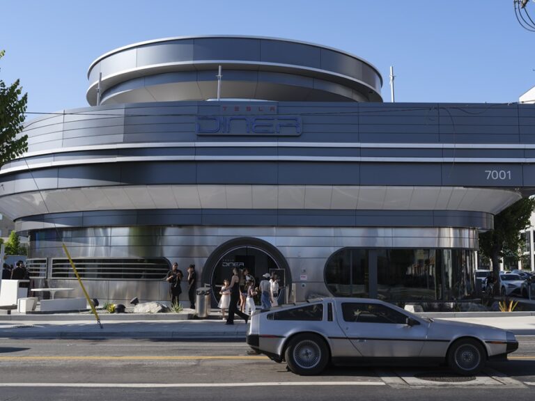 Tesla Diner: Master's automaker's restaurant unites musk and fast food fans (and haters)
