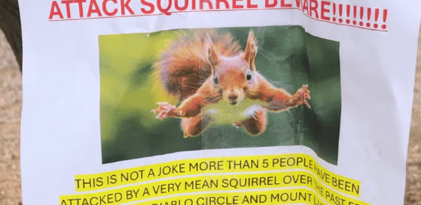 Panfleto alerta para ataques de esquilo em San Rafael, na Califórnia (EUA)