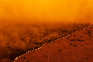 Finalist photography for the Sony World Photography Awards by Brazilian Lalo de Almeida