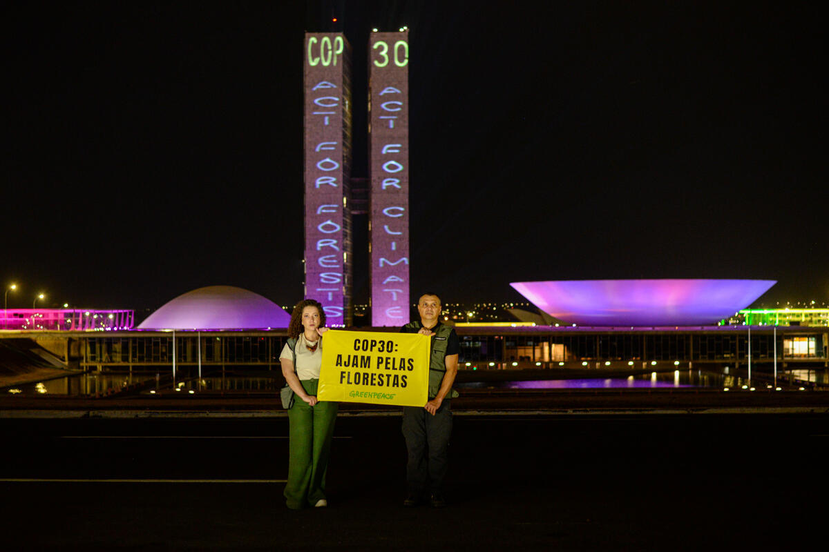 Pré-COP30: protesto do Greenpreace em Brasília