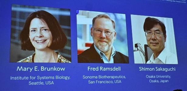 Mary E Brunkow, Fred Ramsdell e Shimon Sakaguch ganharam Nobel de Medicina
