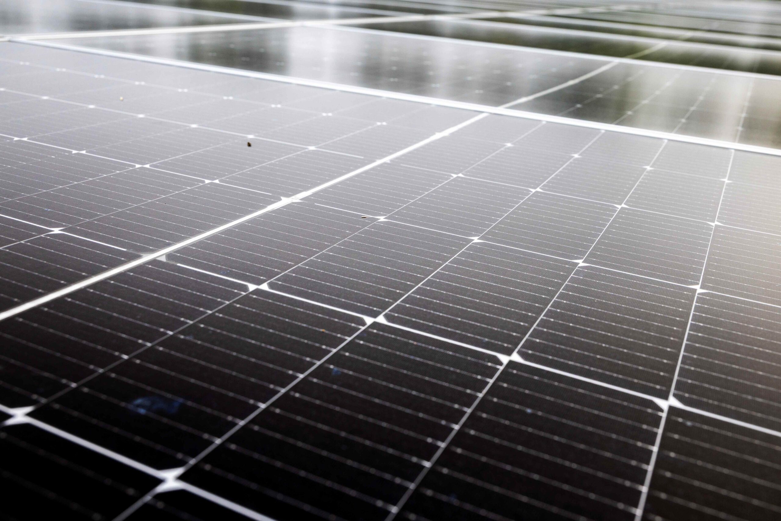 Trump took incentives away from renewable energy, but now it's breaking records