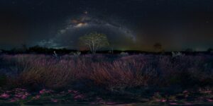 Record taken in Alto Paraíso, Goiás, Brazil, shows a night landscape with purple plants and a starry sky. Top100 of the panoramic photography contest