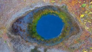Lake surrounded by vegetation was one of the winning images in the nature photo contest