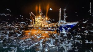 Fishing boat surrounded by fish in Norway was awarded in the Oceans category of the London Natural History Museum photography competition