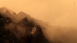 An ibex, a type of wild goat, observes the country surrounded by the morning mist. The photo was awarded in the 11-14 year old category of the nature photo contest