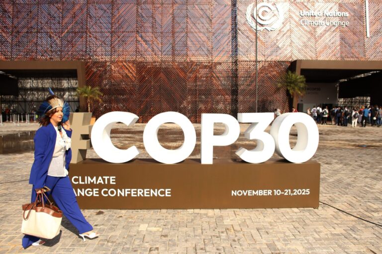 Opinion: COP30 is a decisive moment for the private sector to decide on a future
