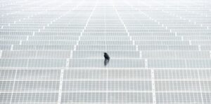 Bird perched on top of solar panels. The image was awarded in the Urban Birds category of Bird Photographer of the year