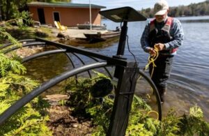 Loon conservation program. Construction of rafts. The series of images was awarded in the Bird Photography of the Year competition