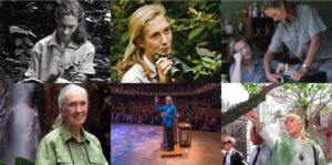 Jane Goodall primatologist honors 90 years