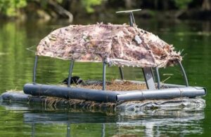 Loon conservation program. Grebe hatching eggs on the raft. The series of images was awarded in the Bird Photography of the Year competition