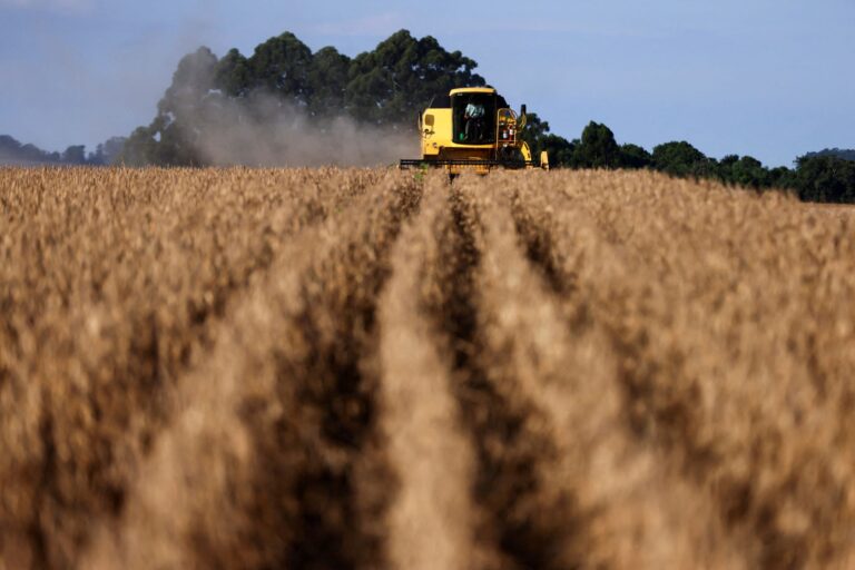 Flávio Dino suspends ongoing actions, including at Cade, on the Soy Moratorium
