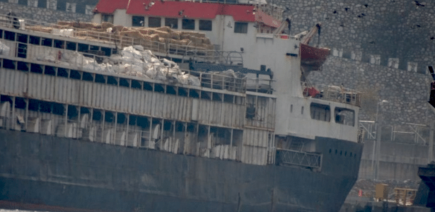 Cerca de 3 mil vacas estão confinadas em navio impedido de atracar na Turquia