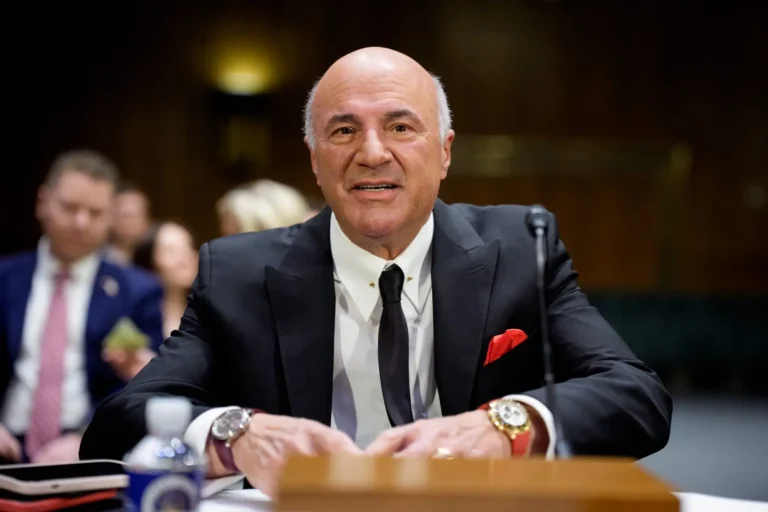 “Capitalism works because losers die”: investor criticizes airline aid
