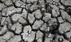 A powerful El Niño is coming — and history suggests it’s likely to wreak havoc
