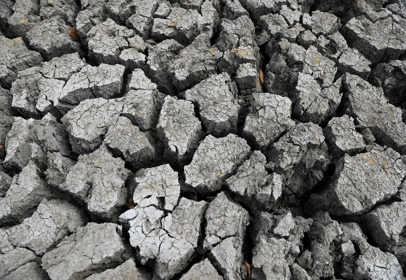 A powerful El Niño is coming — and history suggests it's likely to wreak havoc