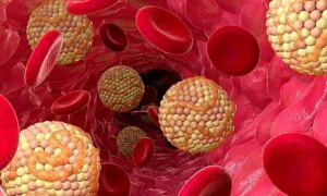 ‘Single dose’ cure for heart disease? Scientists indicate that it may be possible