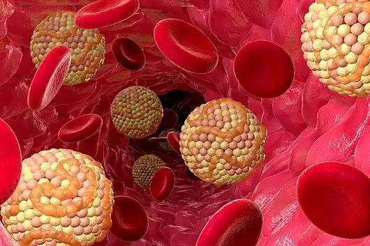 'Single dose' cure for heart disease? Scientists indicate that it may be possible