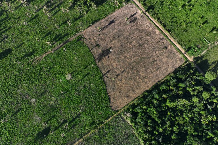 Imagem aérea de região desmatada da floresta amazônica na reserva indígena Cachoeira Seca, no Pará - 19/01/2023 (Foto: REUTERS/Ueslei Marcelino)
