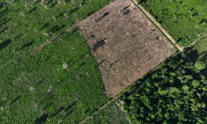 Fachin orders non-indigenous people to leave Cachoeira Seca, in Pará